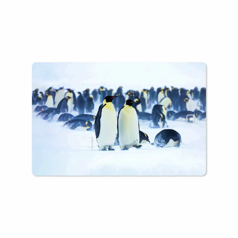 برچسب پوششی ماهوت مدل Penguin مناسب برای تبلت سامسونگ Galaxy Tab S3 9.7 2017 T820