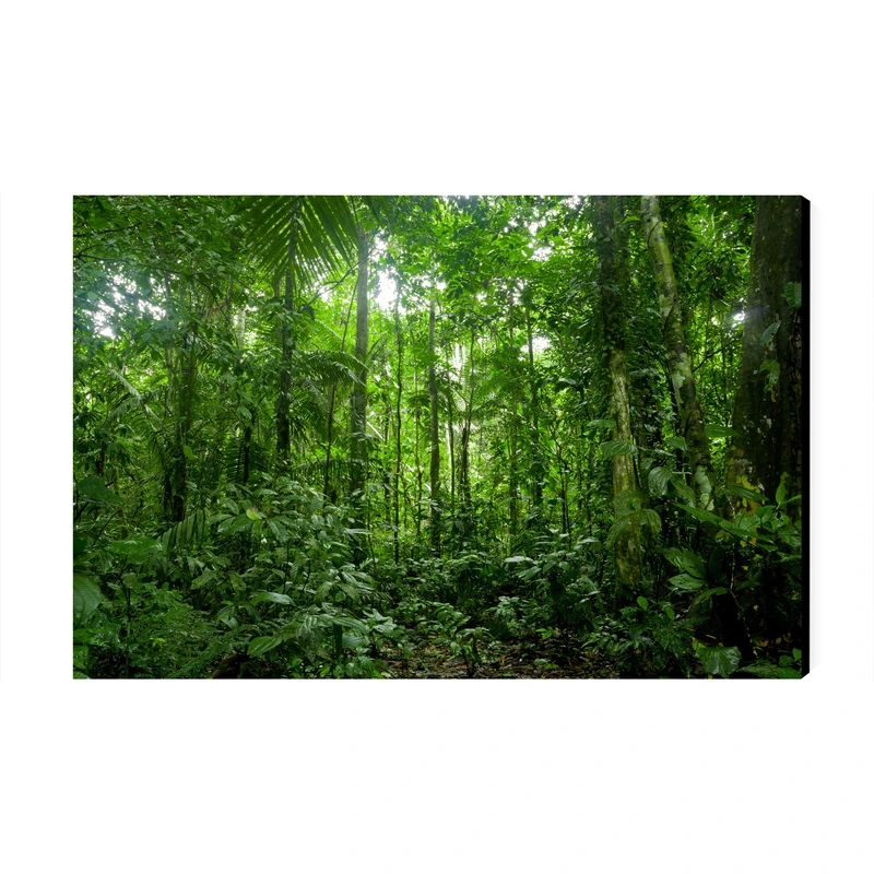 تابلو شاسی عرش مدل فانتزی طبیعت جنگل کد As3987