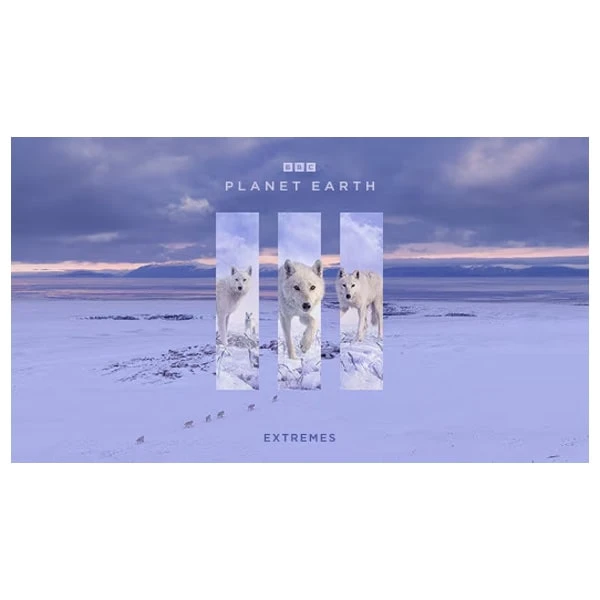 عکس شماره 9 : مستند سیاره زمین سه planet earth iii 2023 اثر دیوید اتنبرو نشر لیمو استور