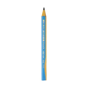 Bic Kids Learner Graphite HB 2 Pencil