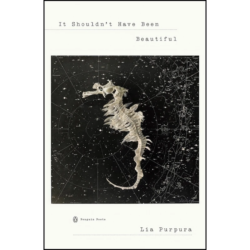 کتاب It Shouldnt Have Been Beautiful  اثر Lia Purpura انتشارات Penguin Books 
