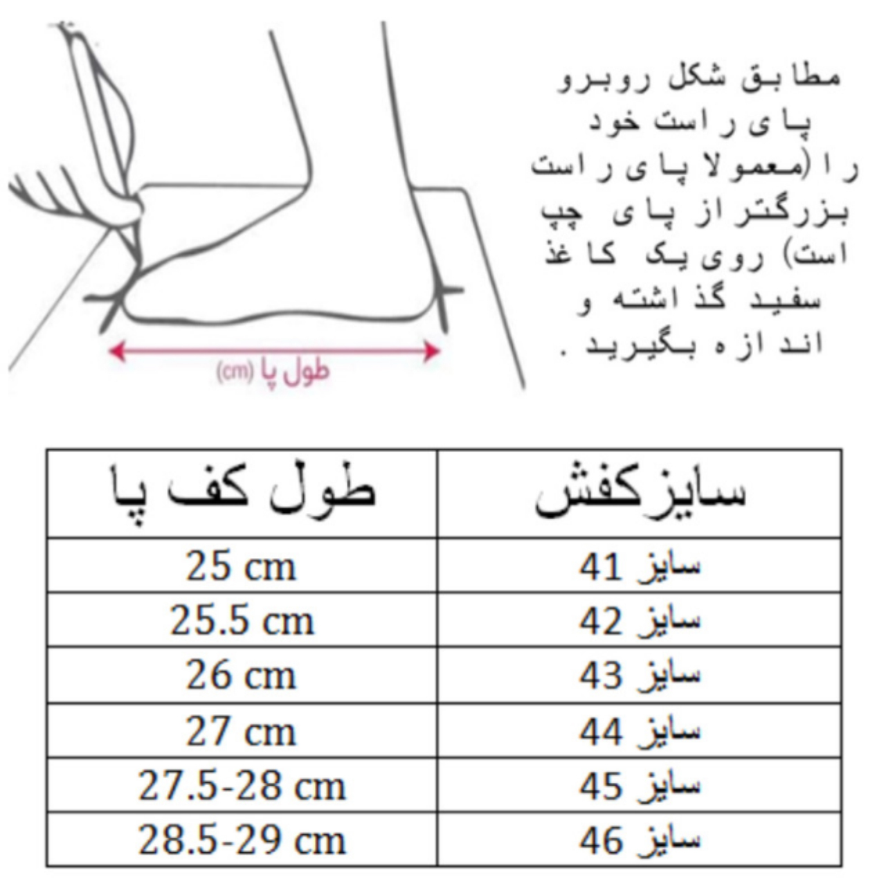 کفش کشتی مردانه مدل المپیک کد C-8278