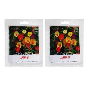 بذر گل ناز آفتابی گرین فارم کد C22 بسته 2 عددی