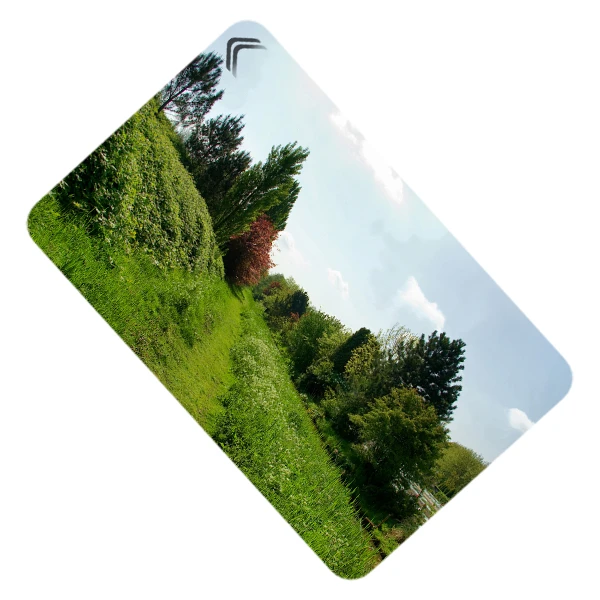 استیکر کارت طرح طبیعت مدل CAC321-K-G1-139