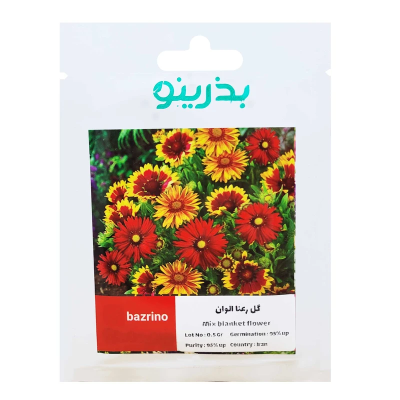 بذر گل رعنا الوان بذرینو کد BZNO-060