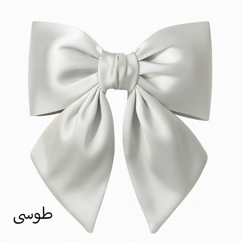 گیره مو زنانه 4