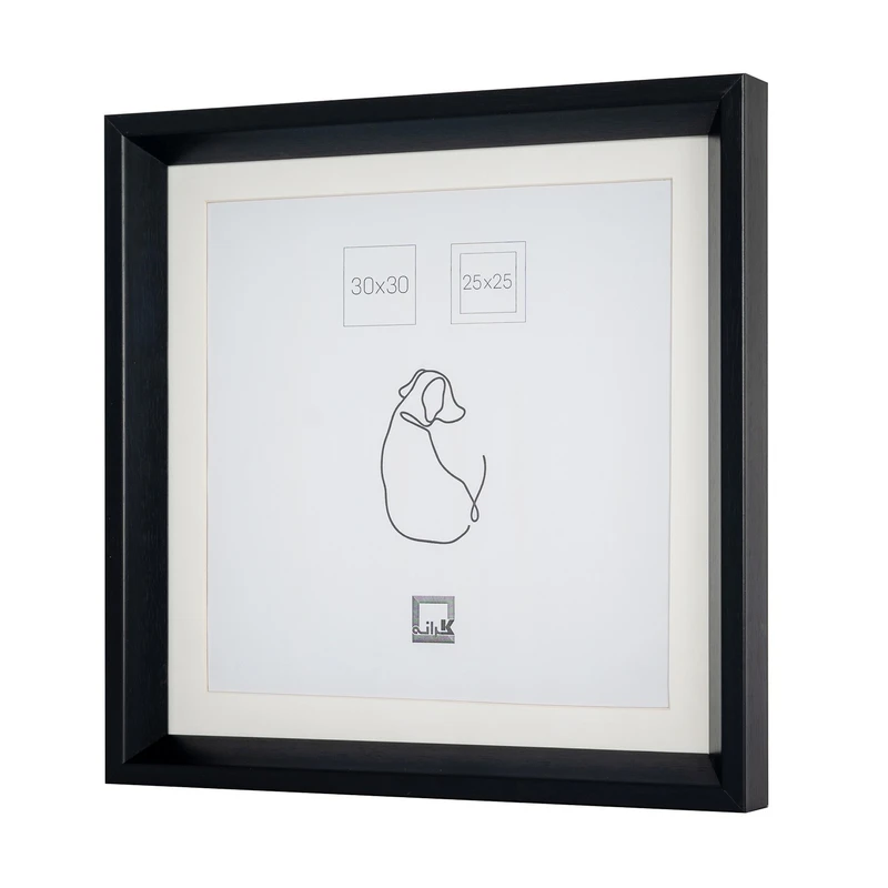 قاب عکس کرانه مدل پاسپارتو شیبدار FP208-3030