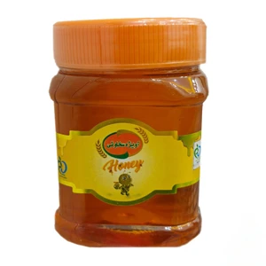 عسل آویژه سخاوتی - 500 گرم