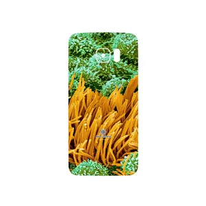 MAHOOT Atom Universe 6 Cover Sticker for Samsung Galaxy S7 Edge