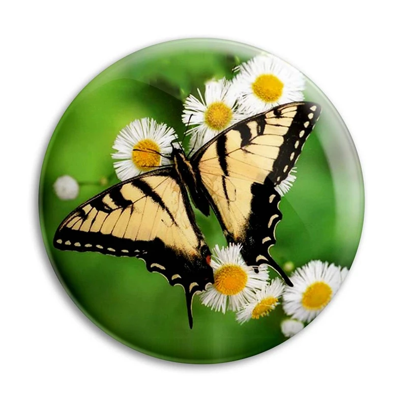 مگنت پرمانه طرح پروانه کد pmag.22148