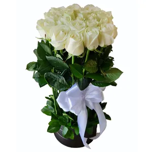جعبه گل مدل 300