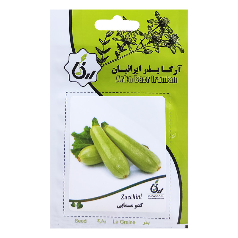 بذر کدو مسمایی آرکا بذر ایرانیان کد ARK-107