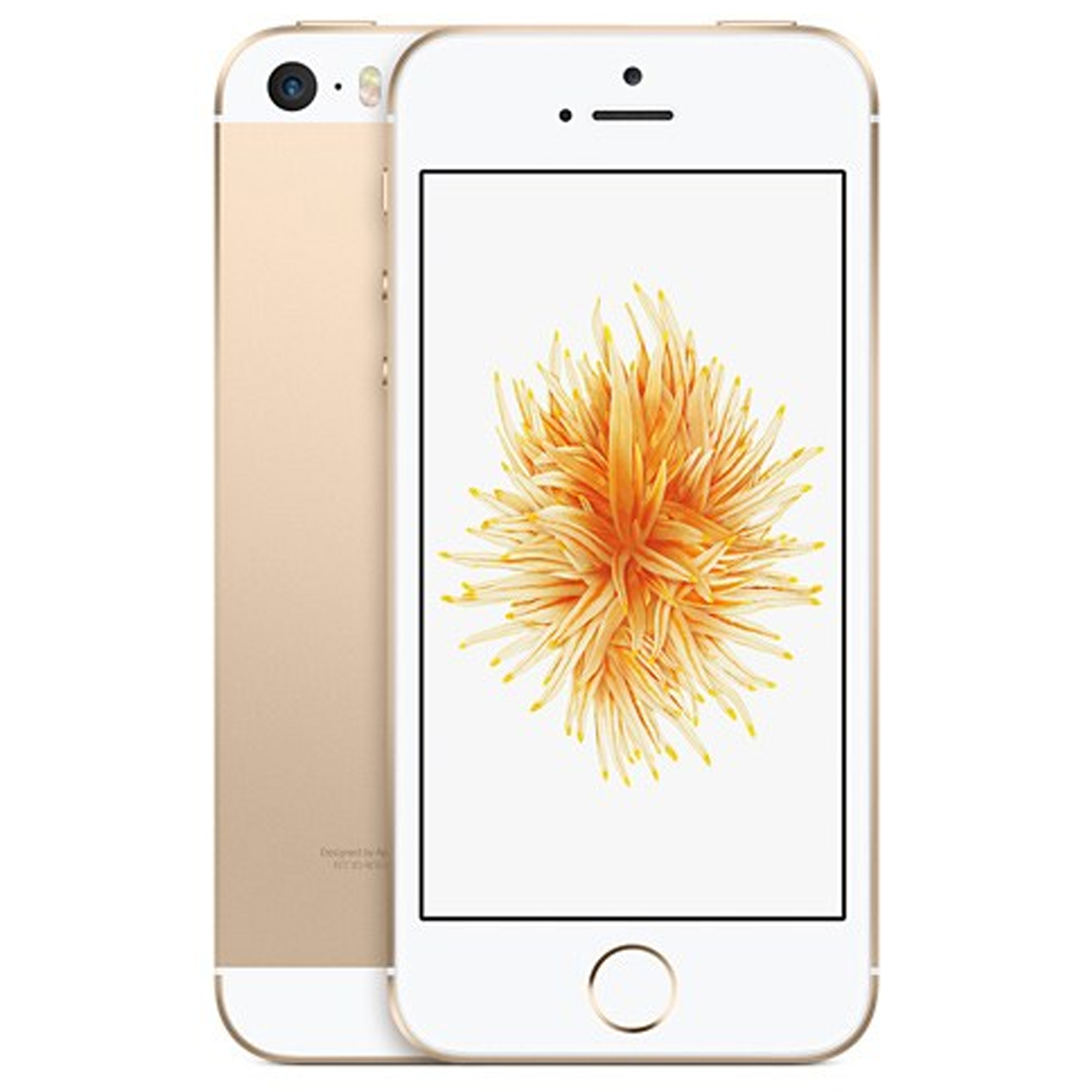 گوشی موبایل اپل مدل iPhone SE - ظرفیت 16 گیگابایت