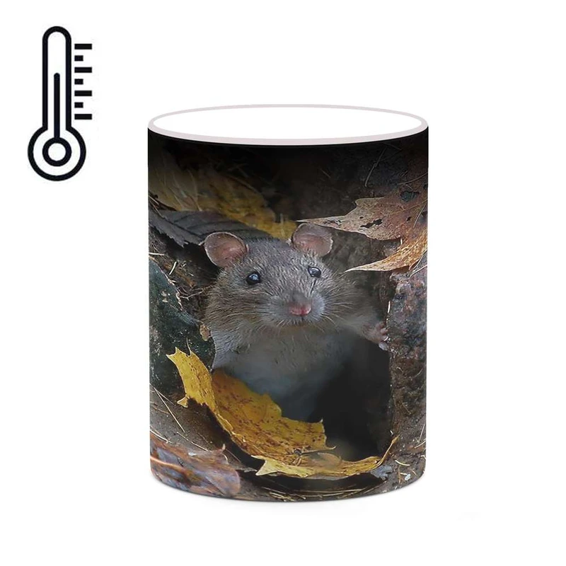 ماگ حرارتی کاکتی مدل موش کد mgh19248