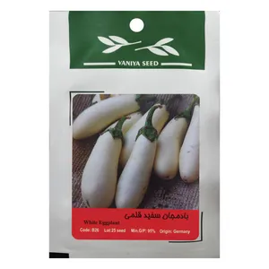 بذر بادمجان سفید قلمی وانیا سید مدل B26