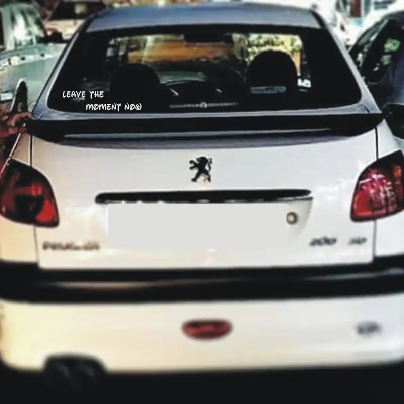 برچسب بدنه خودرو لیزارد مدل فانتزی طرح در لحظه زندگی کن کد LZD-730