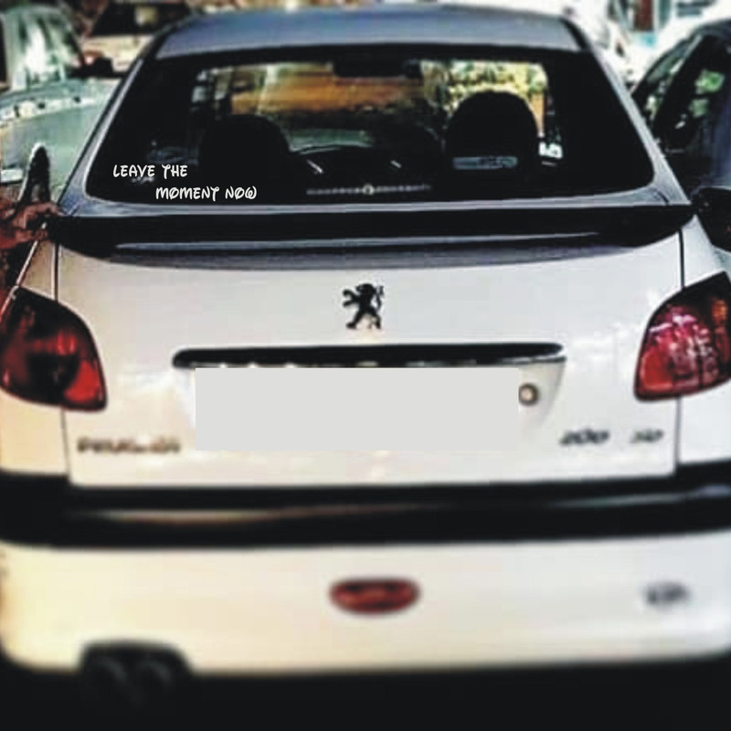 برچسب بدنه خودرو لیزارد مدل فانتزی طرح در لحظه زندگی کن کد LZD-730