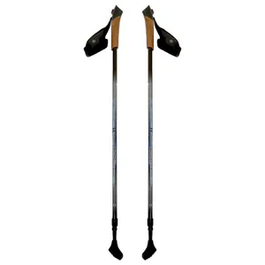 عصای کوهنوردی کرین مدل NORDIC WALKING مجموعه 2 عددی