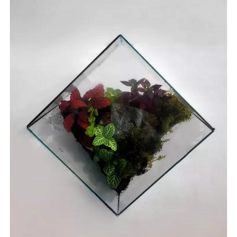 عکس شماره 5 : آکواریوم فیلی پلاست مدل ساده بسته 2 عددی