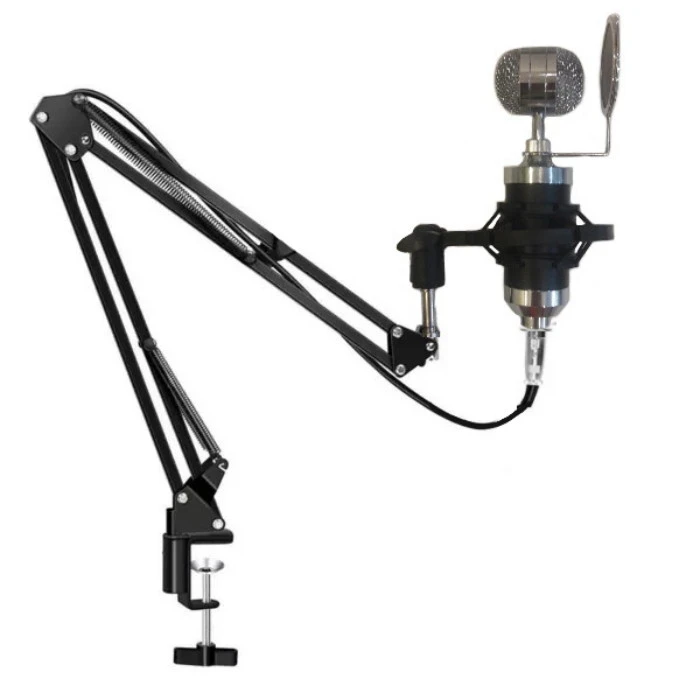 میکروفون کندانسر پروفیشینال مدل RECORDING STAND