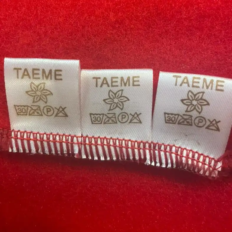 هودی زنانه طائمه مدل سوان کد 0990