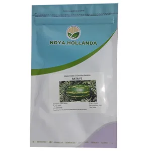 بذر هندوانه نویا هولاندا مدل RATA F1 کد B08