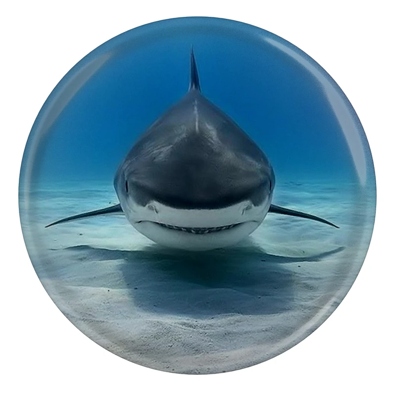 پیکسل طرح کوسه اقیانوس مدل S5128