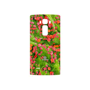 MAHOOT Atom Universe 3 Cover Sticker for LG G Flex 2