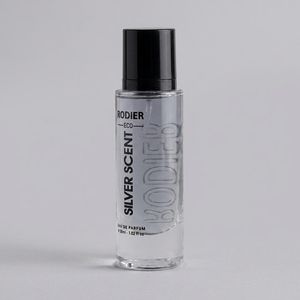 عطر جیبی مردانه رودیر مدل سیلور سنت حجم 30 میلی لیتر