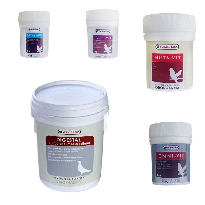 پودر مکمل پرندگان ورسالاگا مدل قوطی کد 12 وزن 50 گرم مجموعه 5 عددی پودر مکمل پرندگان ورسالاگا مدل قوطی کد 12 وزن 50 گرم مجموعه 5 عددی