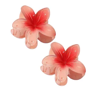 کلیپس مو زنانه مدل گل پلومریا کد brg 410 بسته دو عددی