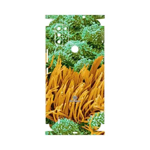 MAHOOT Atom Universe 6-FullSkin Cover Sticker for Nokia C31