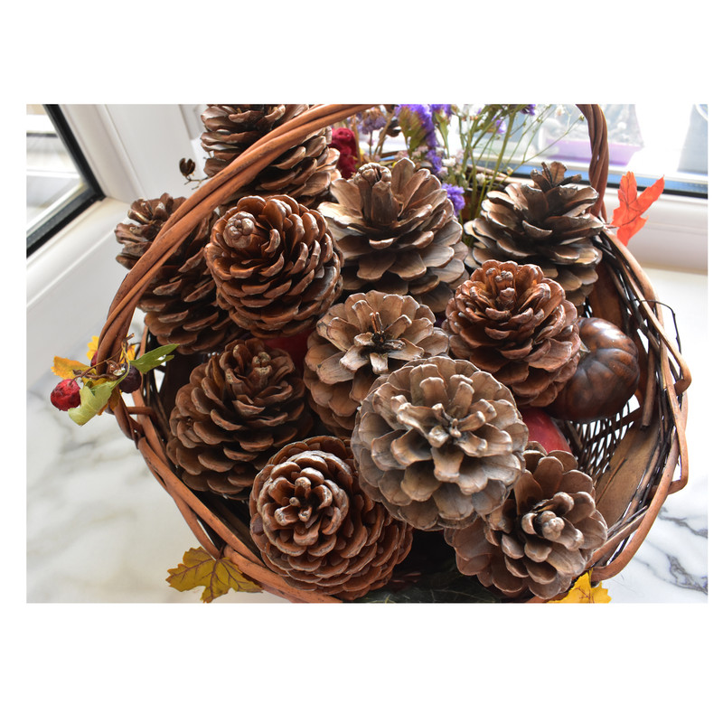 میوه تزیینی مدل میوه درخت کاج کد GB 015 بسته 15 عددی