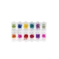 تزیین ناخن طرح گل خشک مدل armi بسته 12 عددی