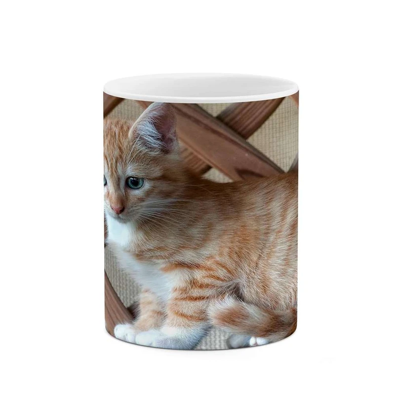 ماگ کاکتی مدل گربه کد mgh14137