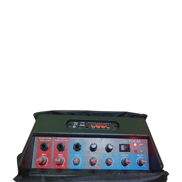 اکو همراه فوکال مدل TS_60_5IN