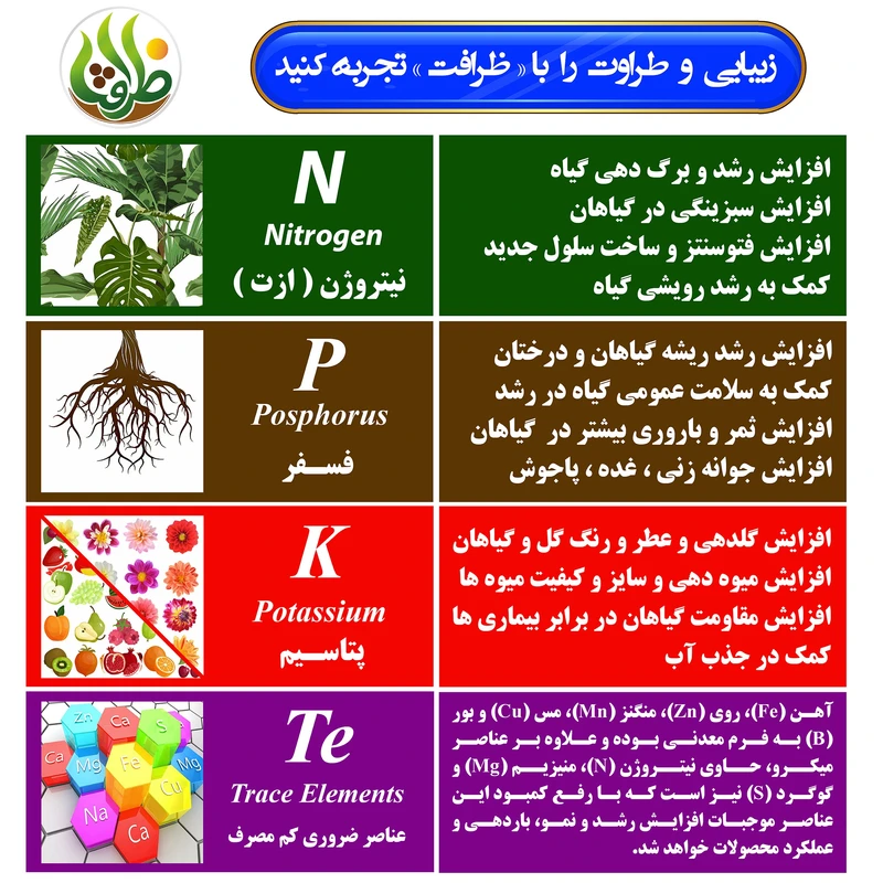 عکس شماره 4