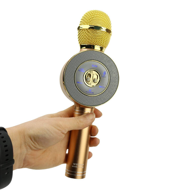 میکروفون اسپیکر وستر مدل WS-668 1