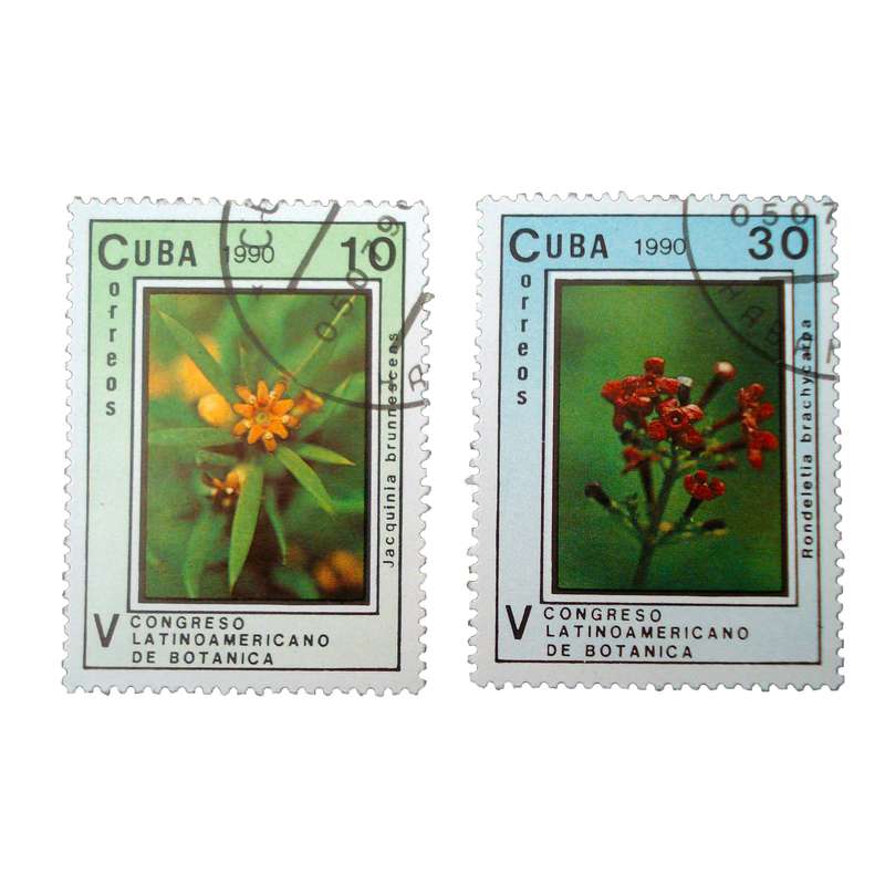 تمبر یادگاری مدل گل كد bc-2147 مجموعه 2 عددي