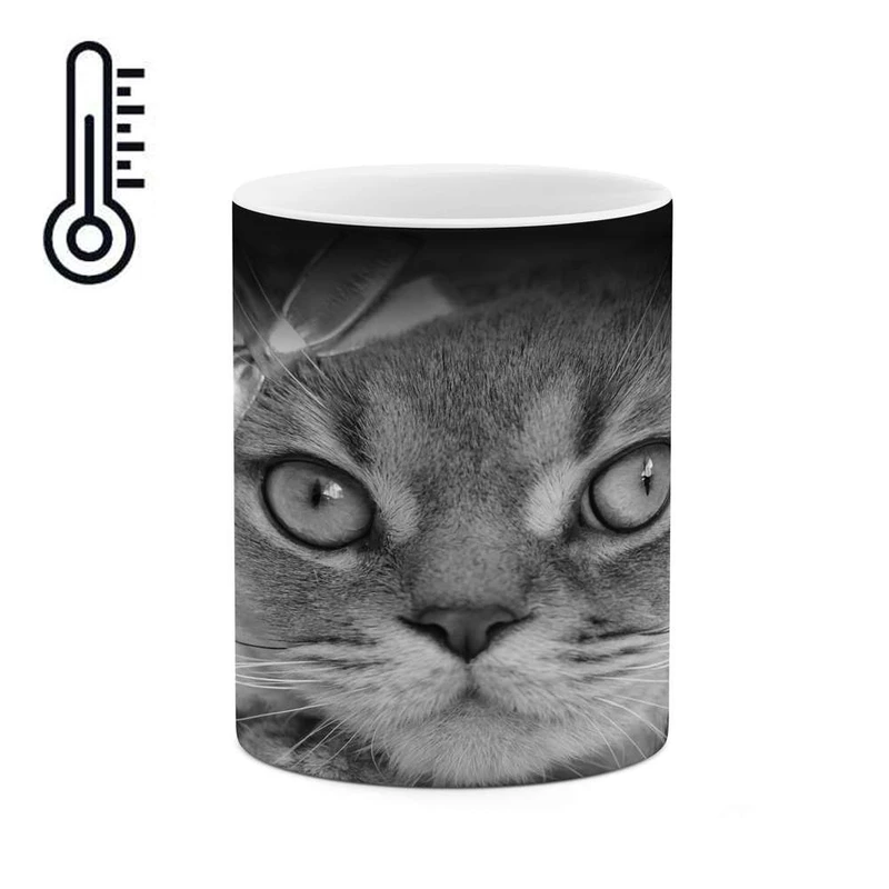 ماگ حرارتی کاکتی مدل گربه کد mgh14178