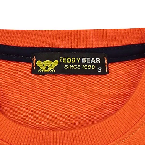 ست سویشرت و شلوار پسرانه خرس کوچولو طرح Teddy Bear کد 210 -  - 6