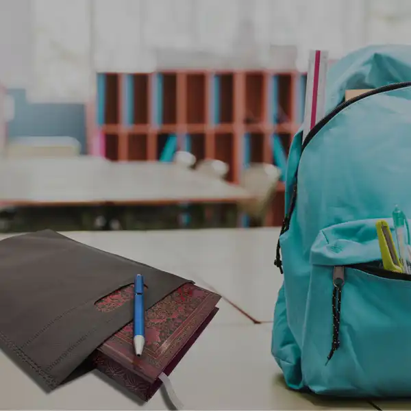 ساک دستی مدل سوزنی 2535 بسته 5 عددی