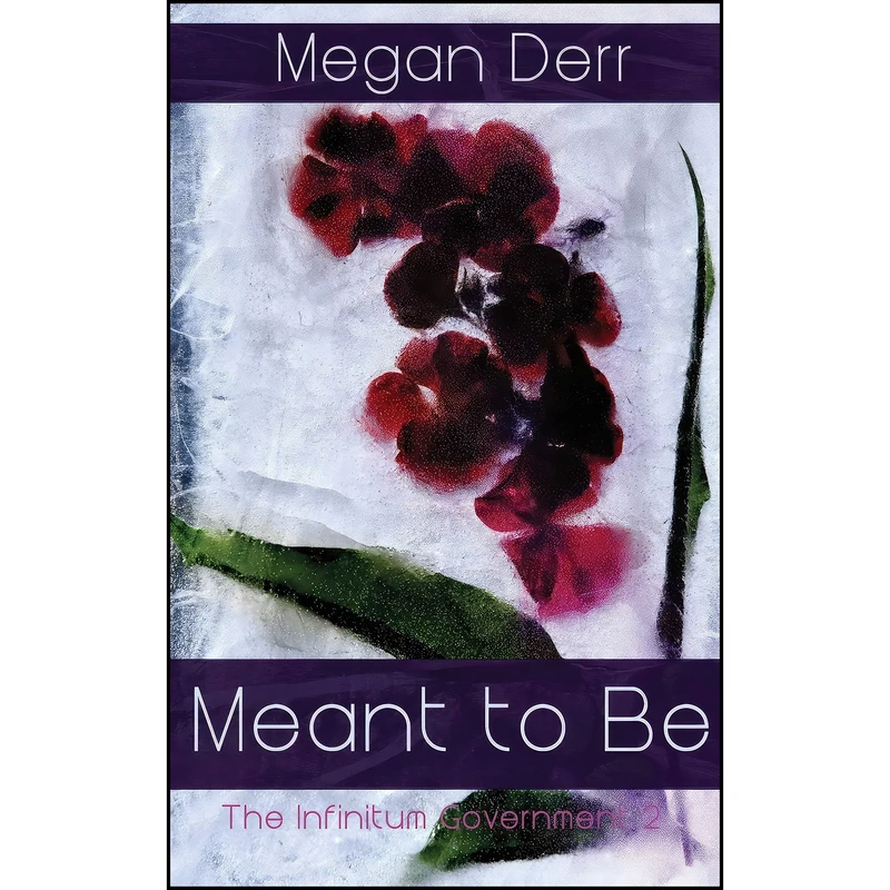 کتاب Meant to Be  اثر Megan Derr انتشارات تازه ها
