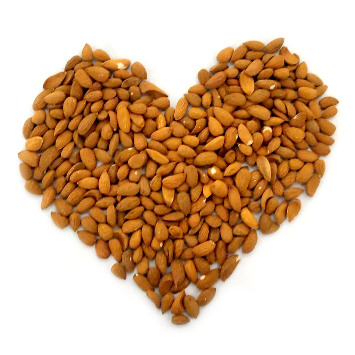 مغر بادام خام ایرانی - 1 کیلوگرم