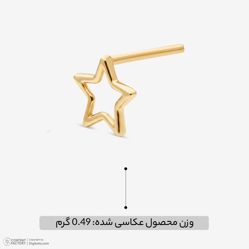 گوشواره میخی طلا 18 عیار زنانه حافا گلد مدل SH177 - 2