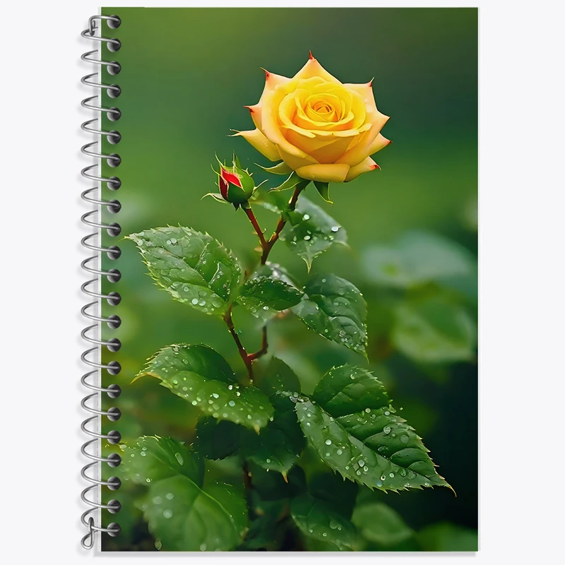 دفتر نت موسیقی 50 برگ خندالو طرح گل رز کد F7612