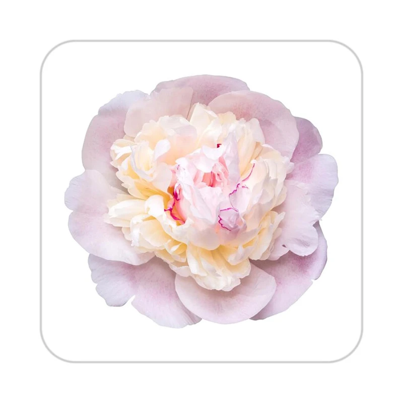 زیر لیوانی کاکتی طرح گل مدل mp16391