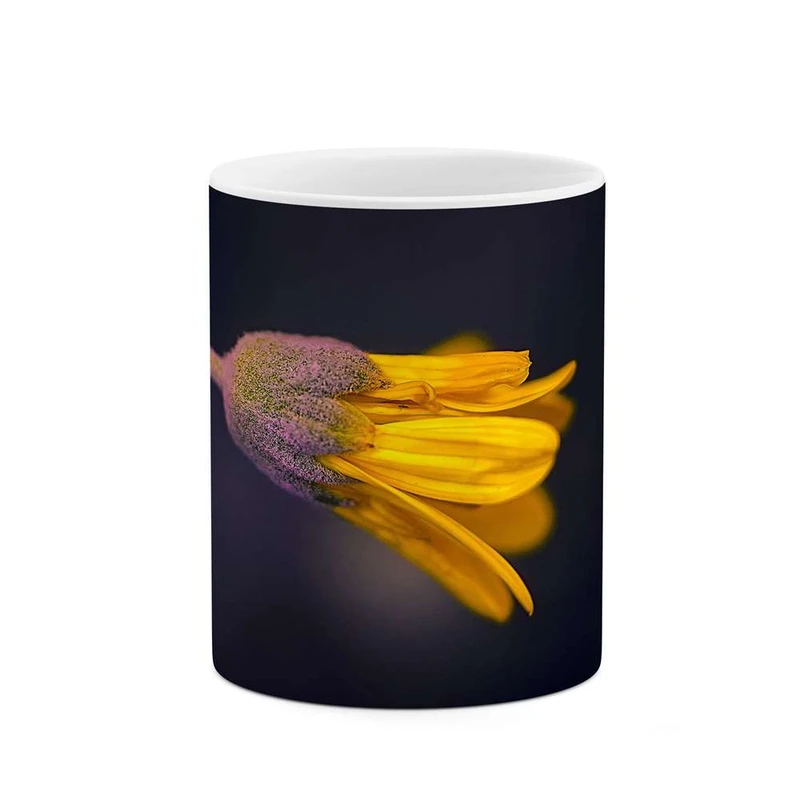 ماگ کاکتی مدل گل کد mgh11203