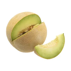 ملون بزرگ لوکوما - 1.5 تا 2.5 کیلوگرم