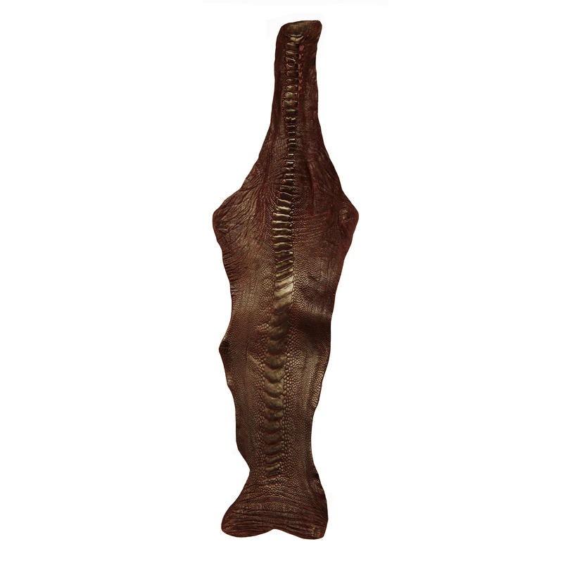 چرم طبیعی مدل ساق شتر مرغ کد  OL084